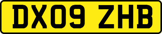 DX09ZHB