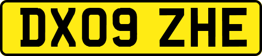 DX09ZHE