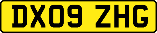DX09ZHG