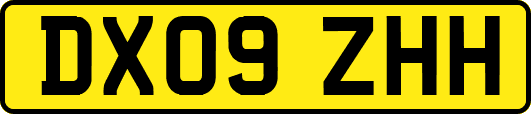 DX09ZHH