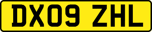 DX09ZHL