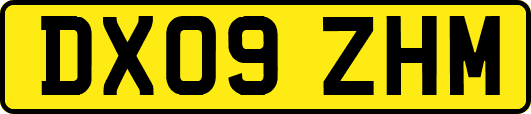 DX09ZHM