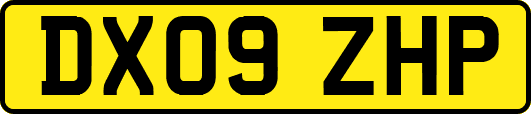 DX09ZHP