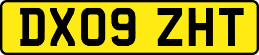 DX09ZHT