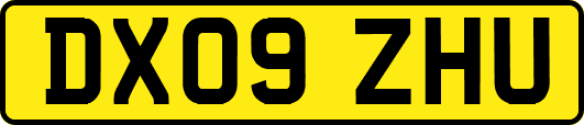 DX09ZHU