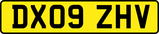 DX09ZHV