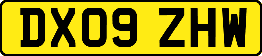 DX09ZHW