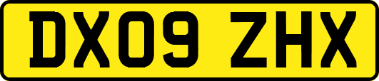 DX09ZHX