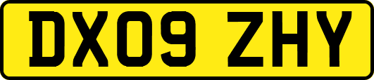 DX09ZHY