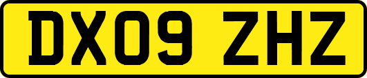 DX09ZHZ