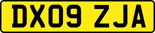 DX09ZJA