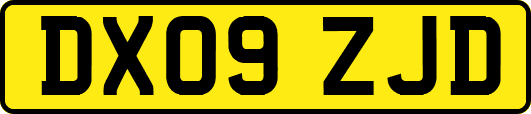 DX09ZJD