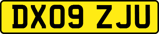 DX09ZJU