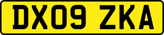 DX09ZKA