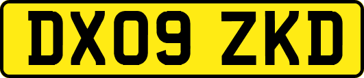 DX09ZKD