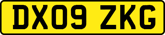 DX09ZKG