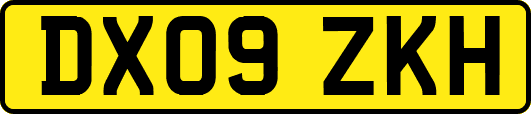 DX09ZKH