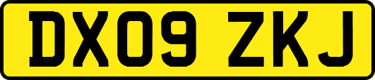 DX09ZKJ