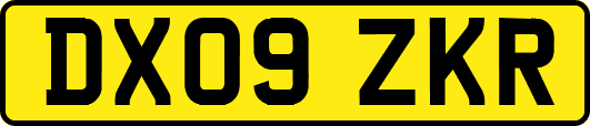 DX09ZKR
