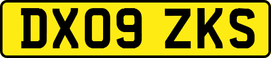 DX09ZKS