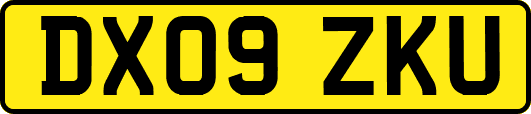 DX09ZKU