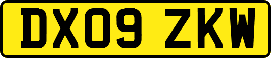 DX09ZKW