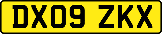DX09ZKX