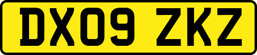 DX09ZKZ