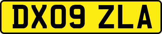 DX09ZLA