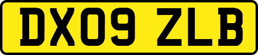 DX09ZLB