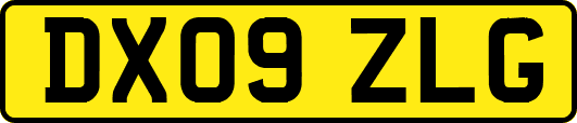 DX09ZLG
