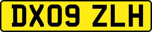 DX09ZLH