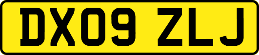 DX09ZLJ