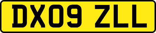 DX09ZLL