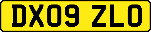 DX09ZLO