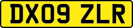 DX09ZLR