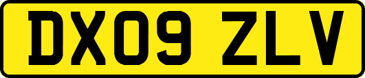 DX09ZLV