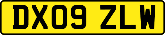 DX09ZLW