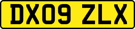 DX09ZLX