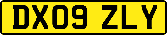 DX09ZLY