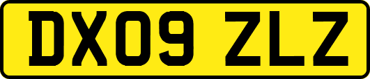 DX09ZLZ