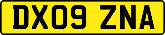 DX09ZNA
