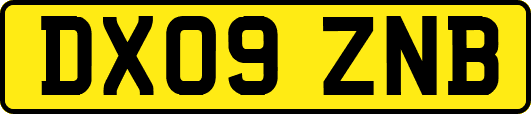DX09ZNB