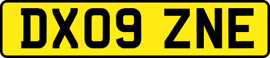 DX09ZNE