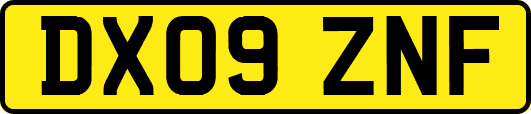 DX09ZNF