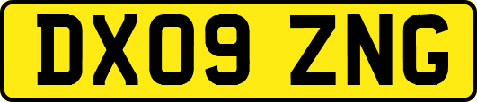 DX09ZNG