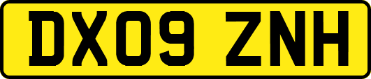 DX09ZNH
