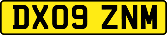 DX09ZNM