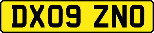 DX09ZNO