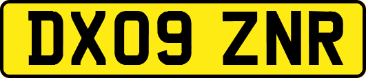 DX09ZNR